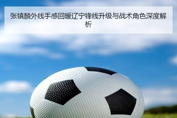 张镇麟外线手感回暖辽宁锋线升级与战术角色深度解析